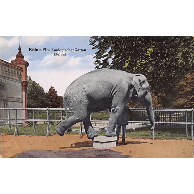 Rare collectable postcards of GERMANY Deutschland. Vintage Postcards of GERMANY Deutschland