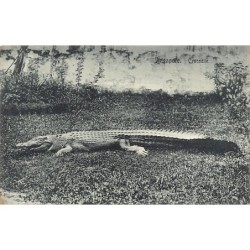 Rare collectable postcards of SINGAPORE. Vintage Postcards of SINGAPORE