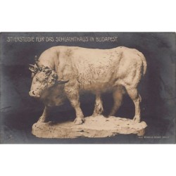 Rare collectable postcards of HUNGARY. Vintage Postcards of HUNGARY