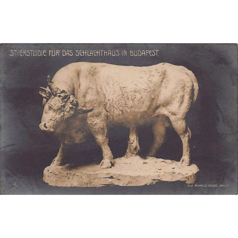 Rare collectable postcards of HUNGARY. Vintage Postcards of HUNGARY