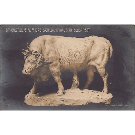 Rare collectable postcards of HUNGARY. Vintage Postcards of HUNGARY