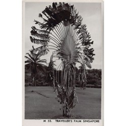 Rare collectable postcards of SINGAPORE. Vintage Postcards of SINGAPORE