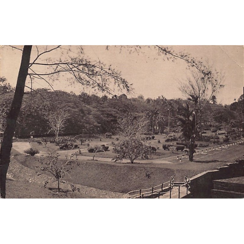 Rare collectable postcards of SINGAPORE. Vintage Postcards of SINGAPORE