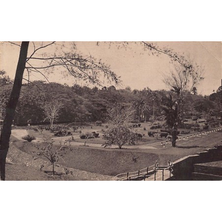 Rare collectable postcards of SINGAPORE. Vintage Postcards of SINGAPORE