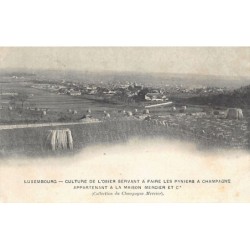Rare collectable postcards of LUXEMBOURG. Vintage Postcards of LUXEMBOURG
