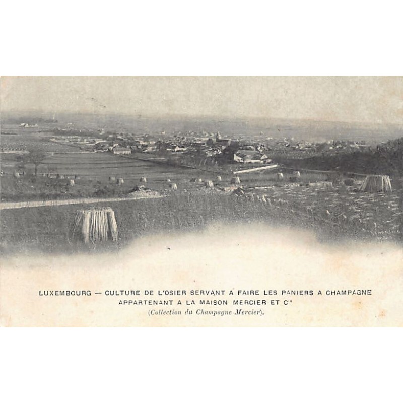 Rare collectable postcards of LUXEMBOURG. Vintage Postcards of LUXEMBOURG