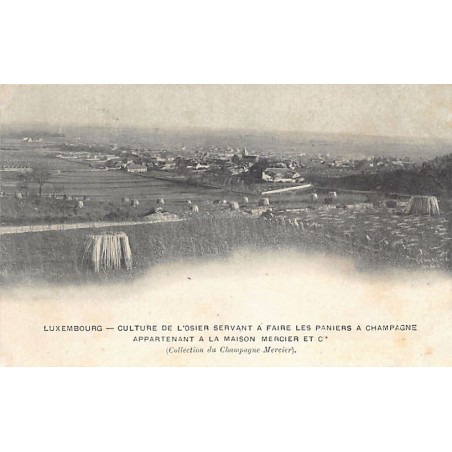 Rare collectable postcards of LUXEMBOURG. Vintage Postcards of LUXEMBOURG