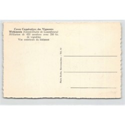 Rare collectable postcards of LUXEMBOURG. Vintage Postcards of LUXEMBOURG
