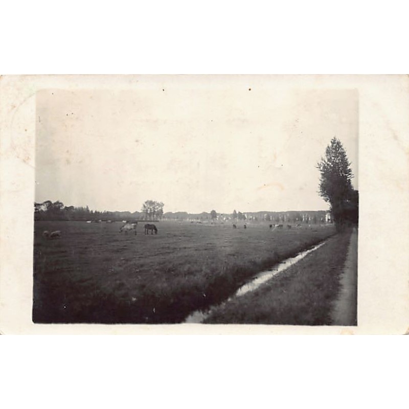 Rare collectable postcards of NEDERLAND. Vintage Postcards of NEDERLAND