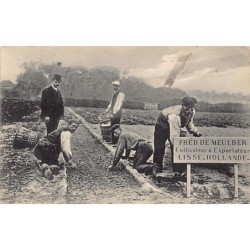 Rare collectable postcards of NEDERLAND. Vintage Postcards of NEDERLAND
