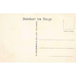 Rare collectable postcards of NORWAY. Vintage Postcards of NORWAY