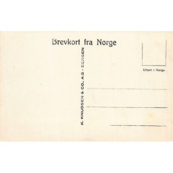 Rare collectable postcards of NORWAY. Vintage Postcards of NORWAY