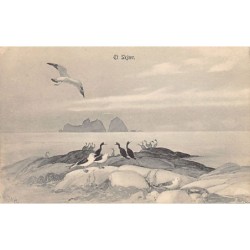 Rare collectable postcards of NORWAY. Vintage Postcards of NORWAY