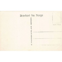 Rare collectable postcards of NORWAY. Vintage Postcards of NORWAY