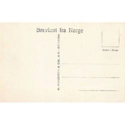 Rare collectable postcards of NORWAY. Vintage Postcards of NORWAY