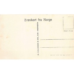 Rare collectable postcards of NORWAY. Vintage Postcards of NORWAY