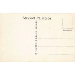 Rare collectable postcards of NORWAY. Vintage Postcards of NORWAY