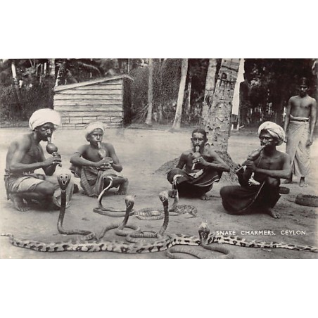 SRI LANKA - Snake Charmers - Publ. Plâté Ltd. 20