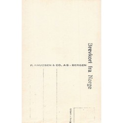 Rare collectable postcards of NORWAY. Vintage Postcards of NORWAY