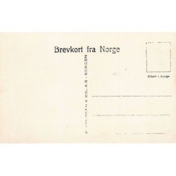 Rare collectable postcards of NORWAY. Vintage Postcards of NORWAY
