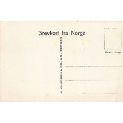 Rare collectable postcards of NORWAY. Vintage Postcards of NORWAY