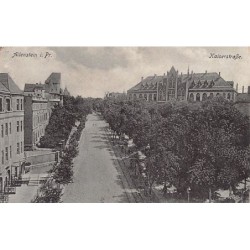 Rare collectable postcards of POLAND. Vintage Postcards of POLAND