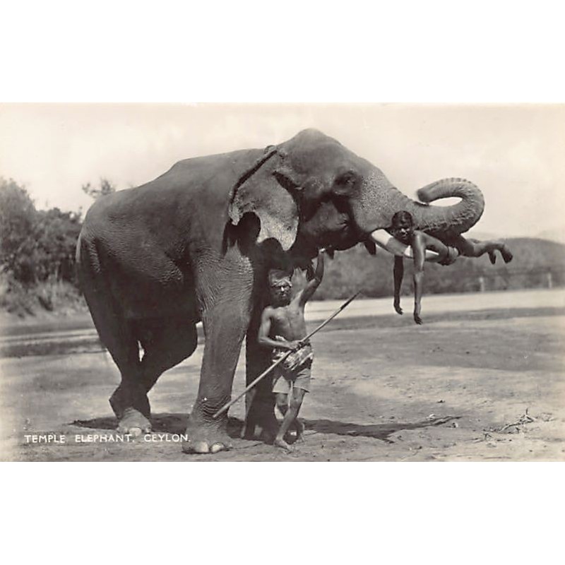 Rare collectable postcards of SRI LANKA. Vintage Postcards of SRI LANKA