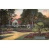 Rare collectable postcards of POLAND. Vintage Postcards of POLAND