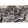 Rare collectable postcards of PORTUGAL. Vintage Postcards of PORTUGAL