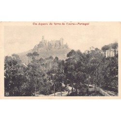Rare collectable postcards of PORTUGAL. Vintage Postcards of PORTUGAL