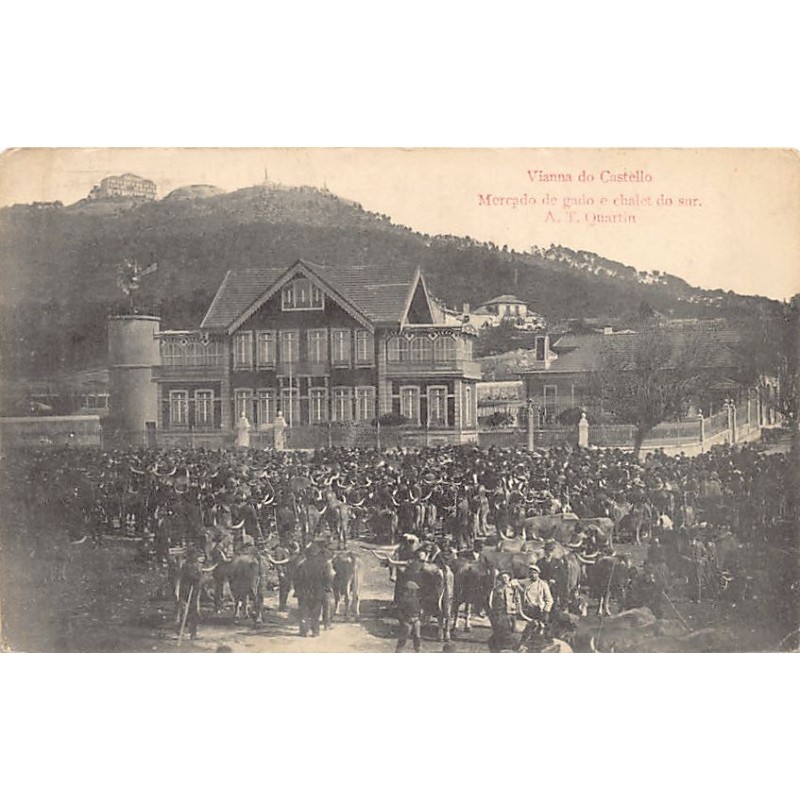 Rare collectable postcards of PORTUGAL. Vintage Postcards of PORTUGAL