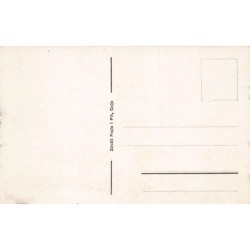 Rare collectable postcards of SLOVENIA. Vintage Postcards of SLOVENIA