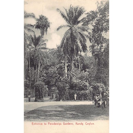 Rare collectable postcards of SRI LANKA. Vintage Postcards of SRI LANKA