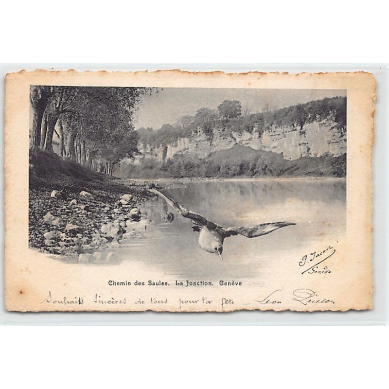 Rare collectable postcards of SWITZERLAND Suisse Schweiz Svizzera. Vintage Postcards of SWITZERLAND Suisse Schweiz Svizzera