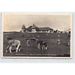 Rare collectable postcards of SWITZERLAND Suisse Schweiz Svizzera. Vintage Postcards of SWITZERLAND Suisse Schweiz Svizzera