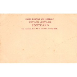 Rare collectable postcards of SRI LANKA. Vintage Postcards of SRI LANKA