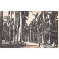 Rare collectable postcards of SRI LANKA. Vintage Postcards of SRI LANKA