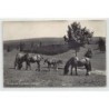 Rare collectable postcards of SWITZERLAND Suisse Schweiz Svizzera. Vintage Postcards of SWITZERLAND Suisse Schweiz Svizzera