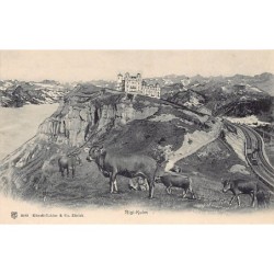 Rare collectable postcards of SWITZERLAND Suisse Schweiz Svizzera. Vintage Postcards of SWITZERLAND Suisse Schweiz Svizzera