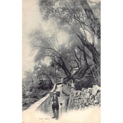 Rare collectable postcards of SWITZERLAND Suisse Schweiz Svizzera. Vintage Postcards of SWITZERLAND Suisse Schweiz Svizzera