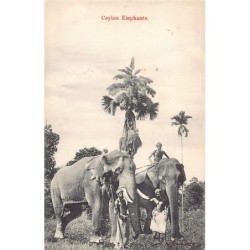 Rare collectable postcards of SRI LANKA. Vintage Postcards of SRI LANKA