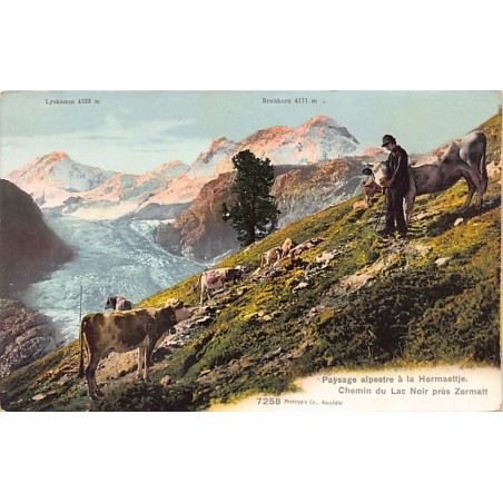 Rare collectable postcards of SWITZERLAND Suisse Schweiz Svizzera. Vintage Postcards of SWITZERLAND Suisse Schweiz Svizzera