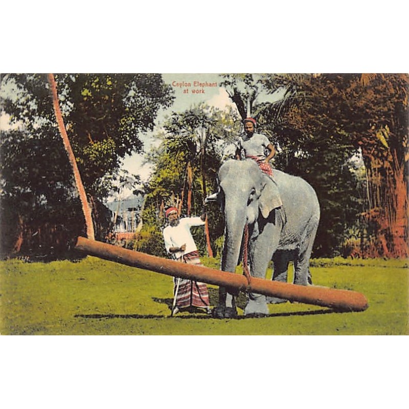 Rare collectable postcards of SRI LANKA. Vintage Postcards of SRI LANKA