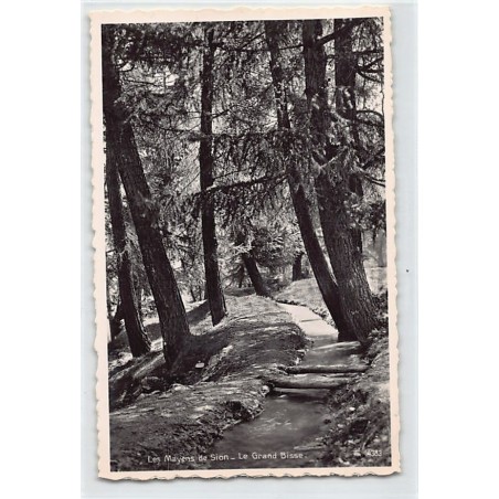 Rare collectable postcards of SWITZERLAND Suisse Schweiz Svizzera. Vintage Postcards of SWITZERLAND Suisse Schweiz Svizzera