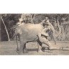 Rare collectable postcards of SRI LANKA. Vintage Postcards of SRI LANKA