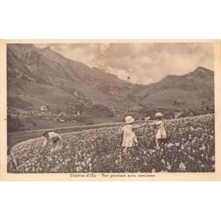 Rare collectable postcards of SWITZERLAND Suisse Schweiz Svizzera. Vintage Postcards of SWITZERLAND Suisse Schweiz Svizzera