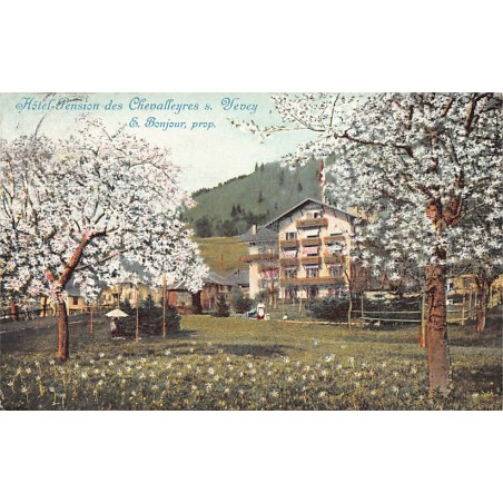 Rare collectable postcards of SWITZERLAND Suisse Schweiz Svizzera. Vintage Postcards of SWITZERLAND Suisse Schweiz Svizzera