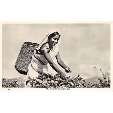 Rare collectable postcards of SRI LANKA. Vintage Postcards of SRI LANKA