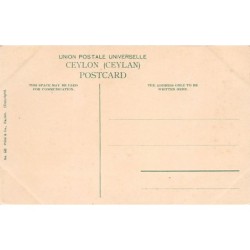 Rare collectable postcards of SRI LANKA. Vintage Postcards of SRI LANKA