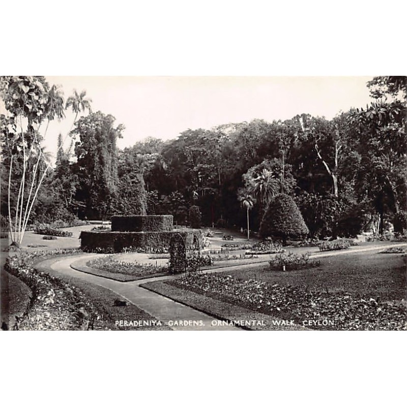 Rare collectable postcards of SRI LANKA. Vintage Postcards of SRI LANKA